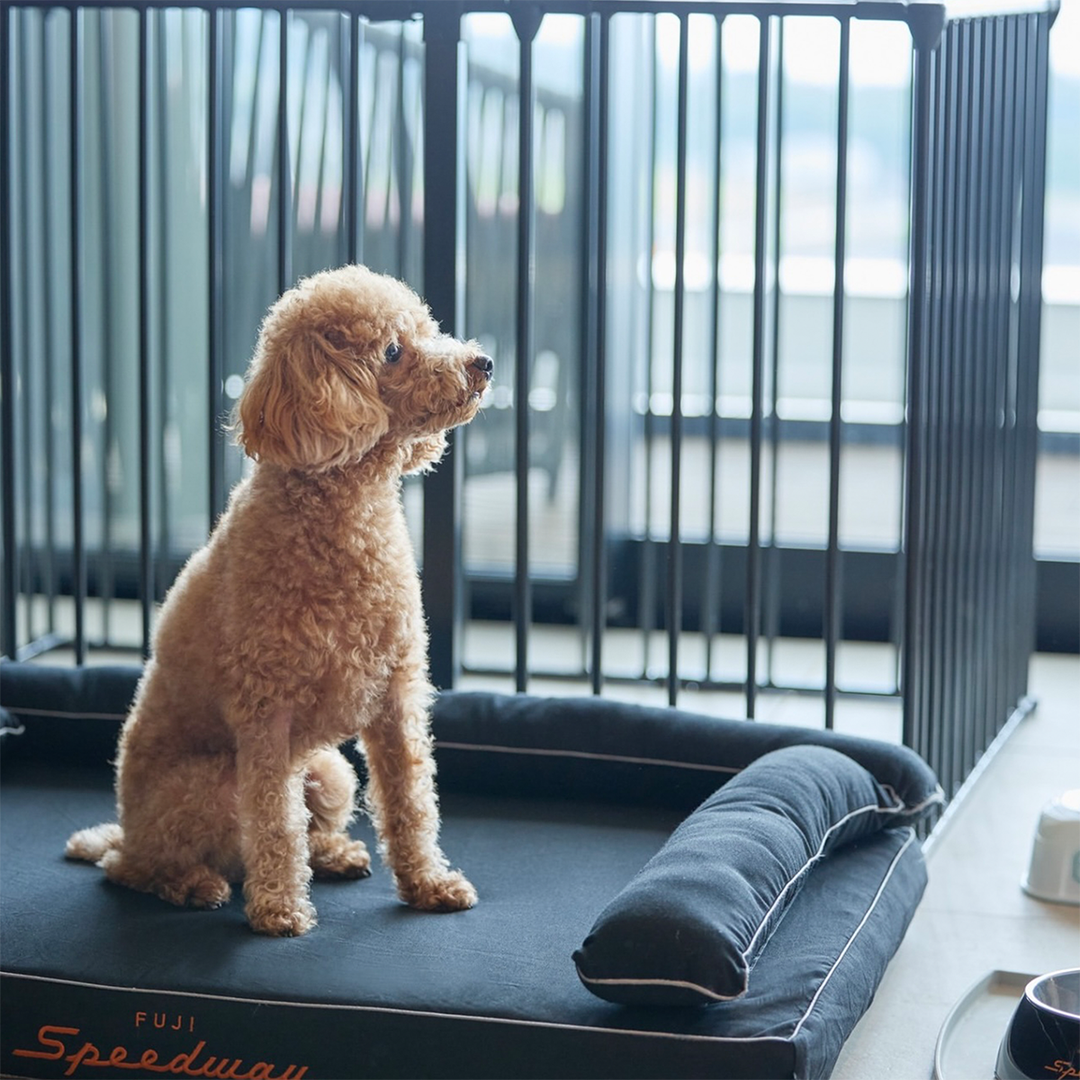 高級ホテルや旅館への導入実績｜犬のベッド：アンベルソ