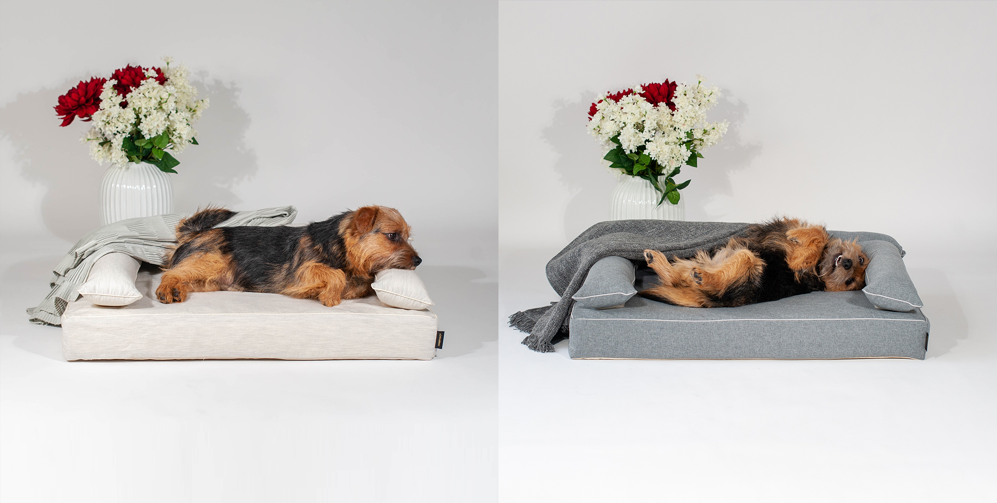 ロイヤルベッド-dogbed｜犬のベッド：アンベルソ