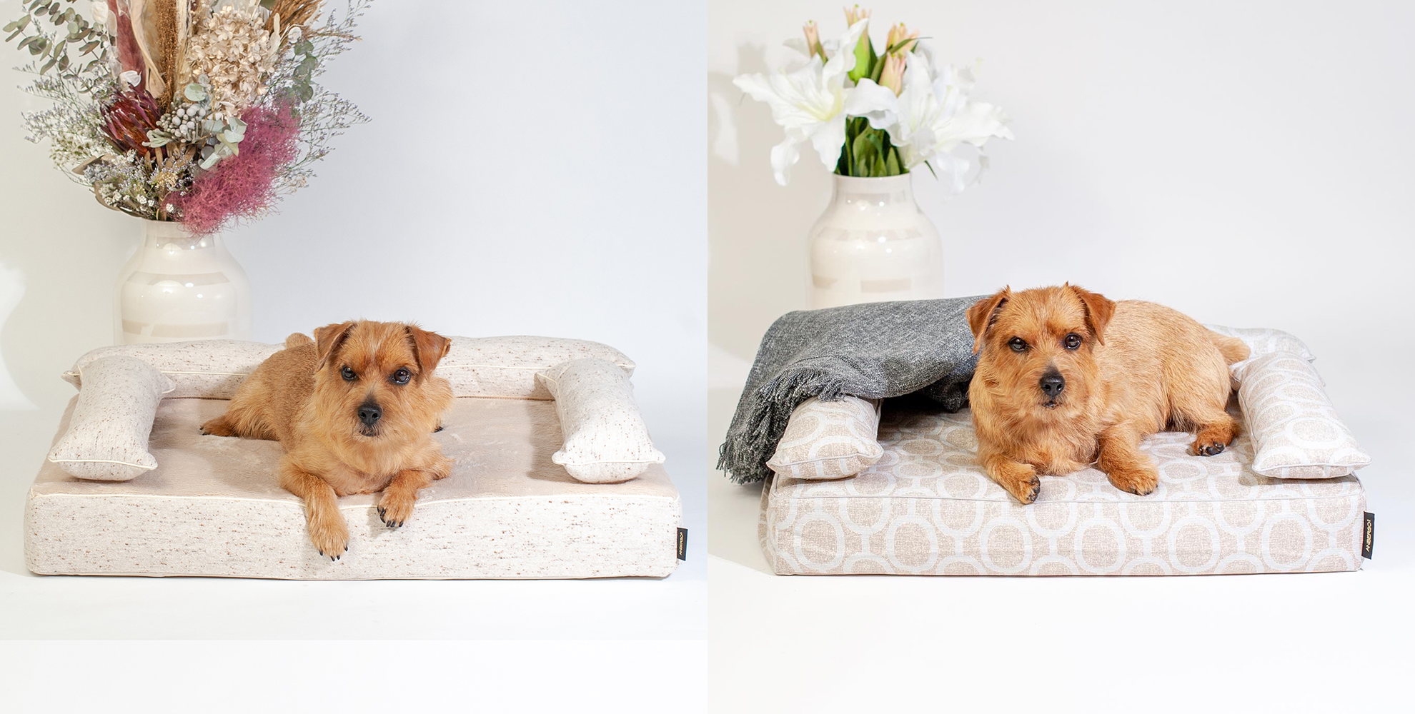 ロイヤルベッド-dogbed｜犬のベッド：アンベルソ