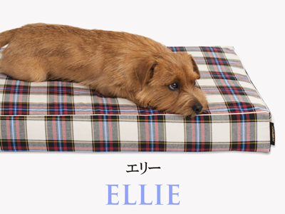 Banner-slide_ellie