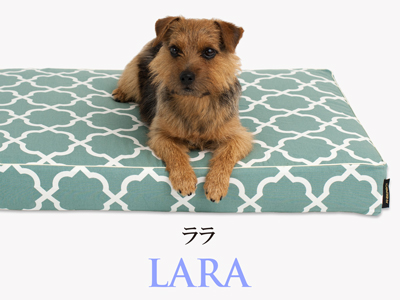 Banner-slide_lara-RB-mint