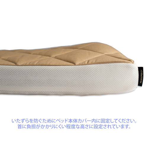 Product_Pillow_5