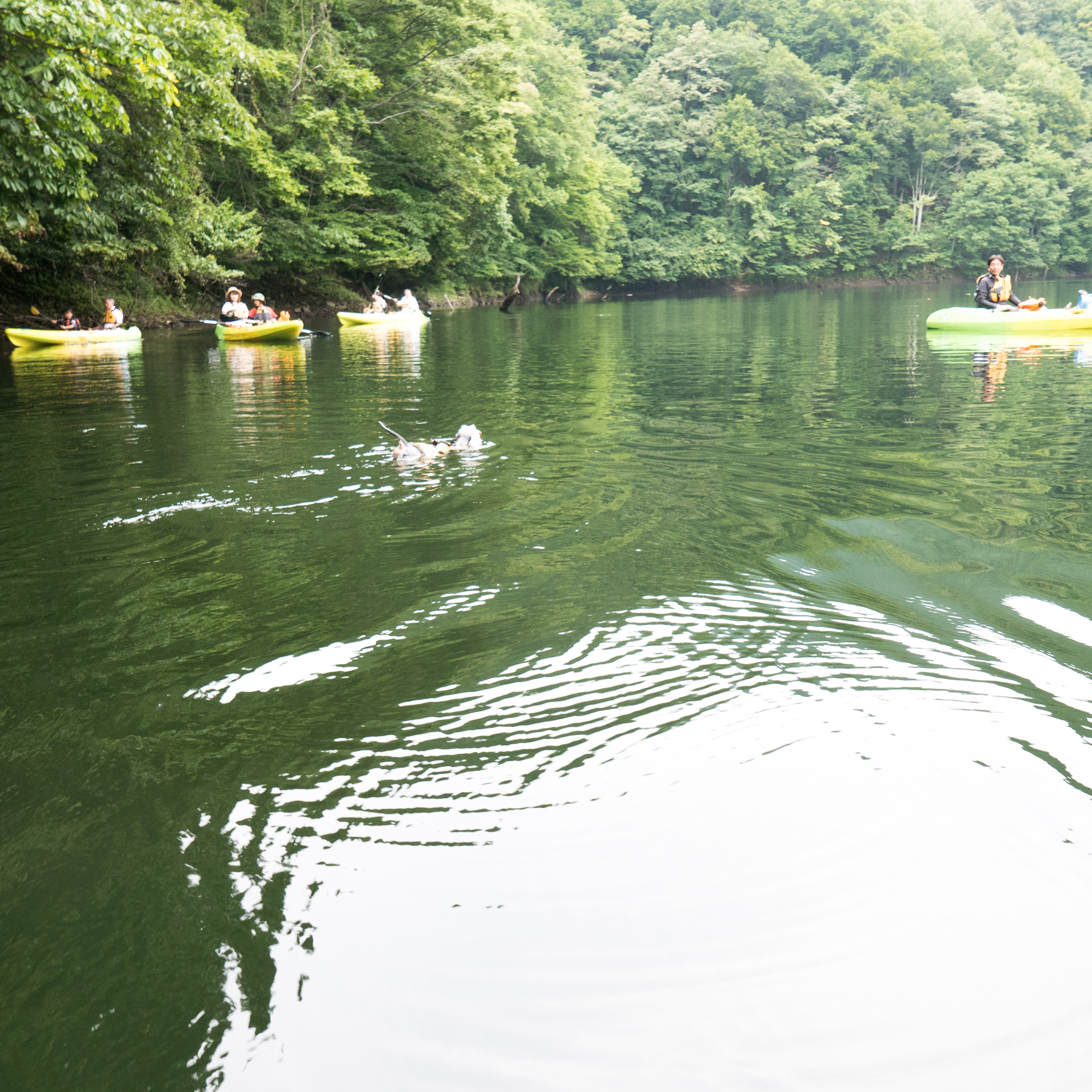20170828-P1150231