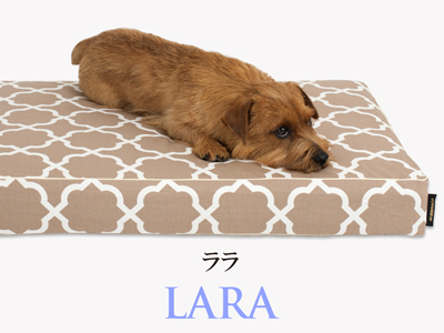 Banner-slide_lara-RB-mocha