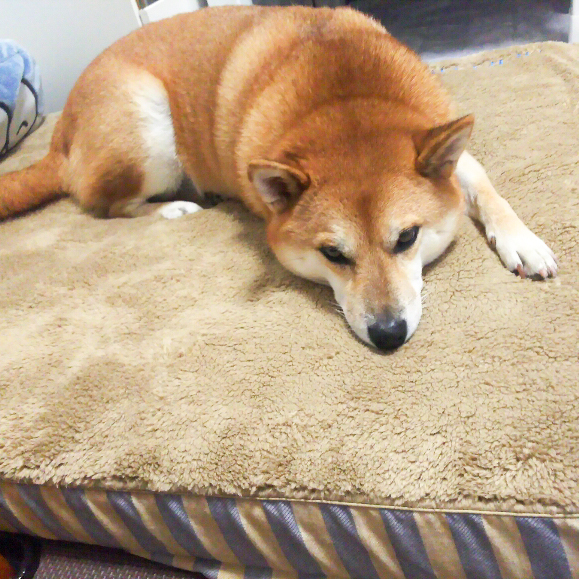 IMG_20171016_164423-2