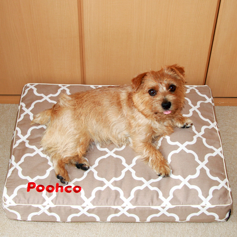 poohco01-2