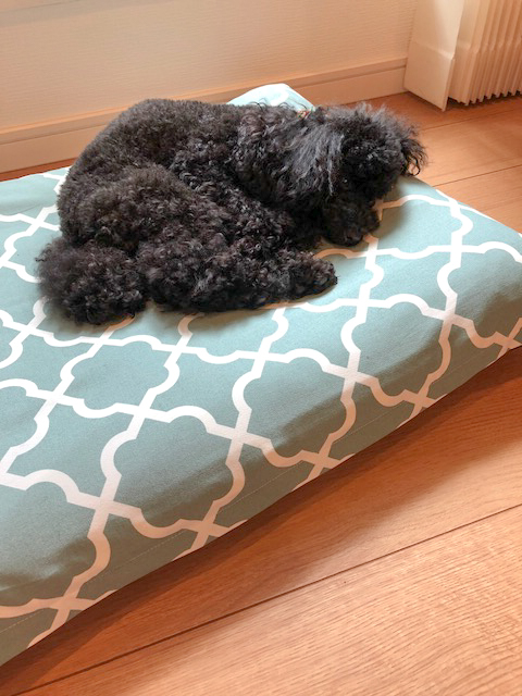 Daisy-2