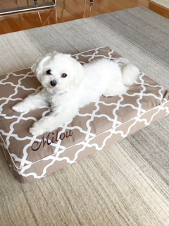 Milou-2