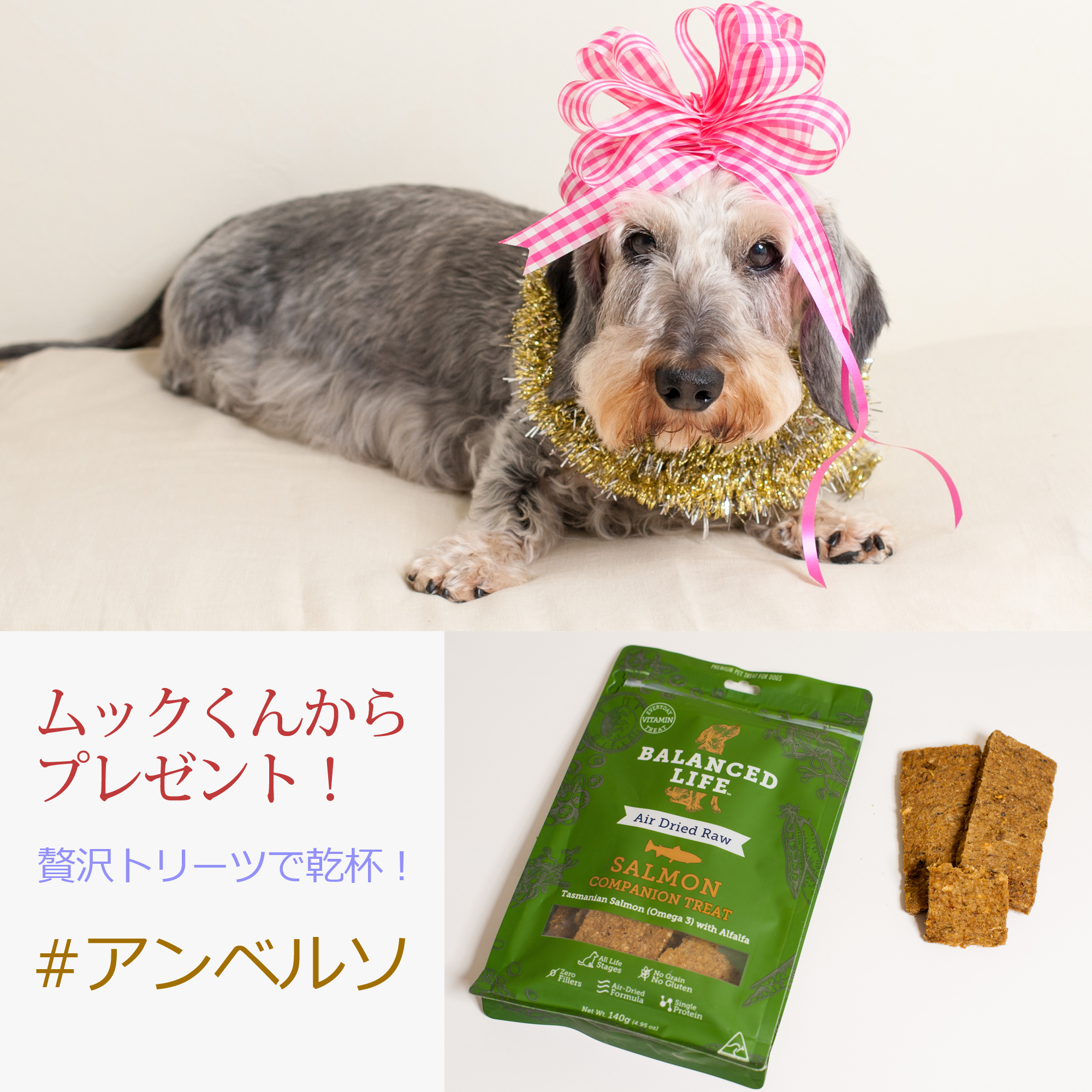 muck-BD-sq.jpg