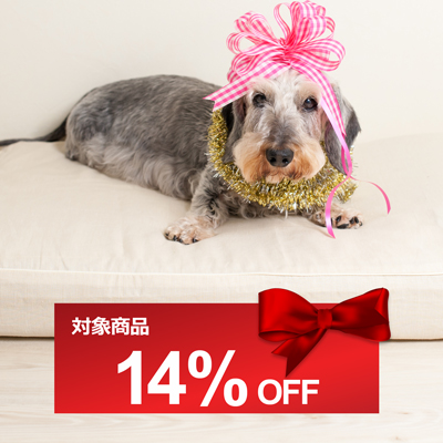 SQ-coupon-OL-14%.jpg