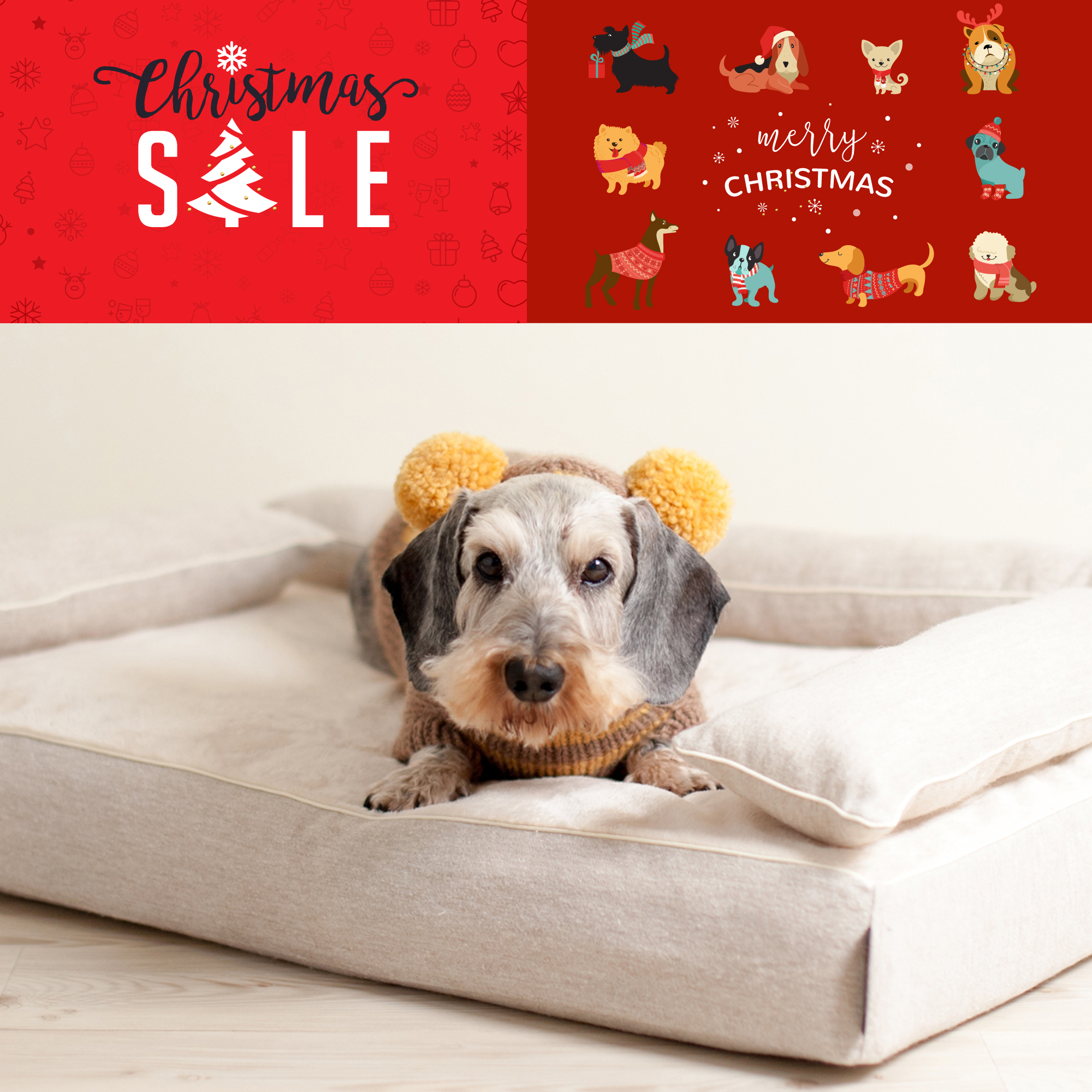 Xmas-sale-1