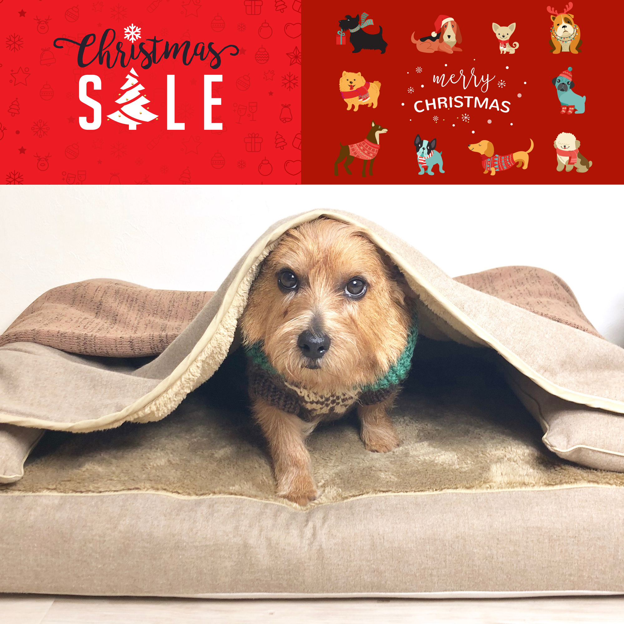 Xmas-sale-2