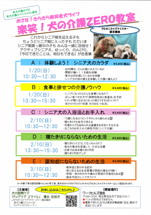 ドッグケア スマイル