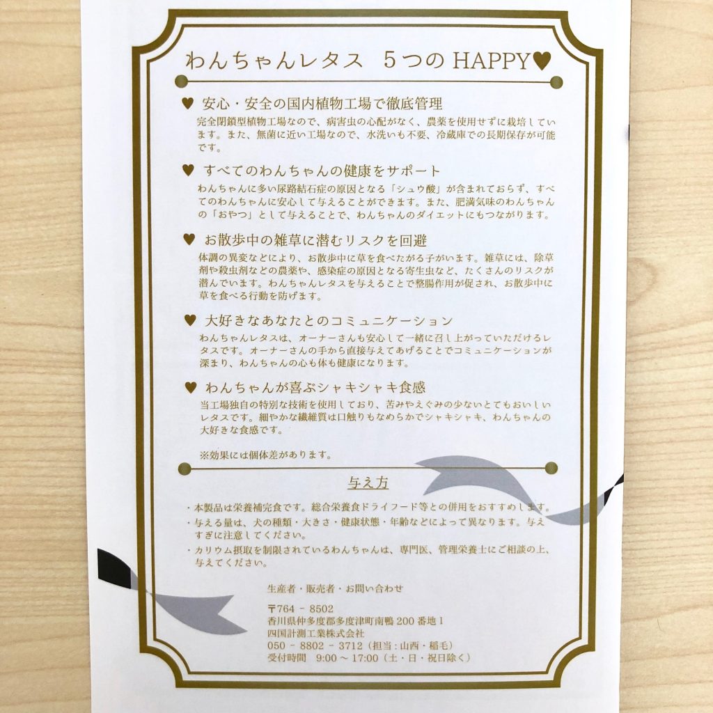 わんちゃんレタス