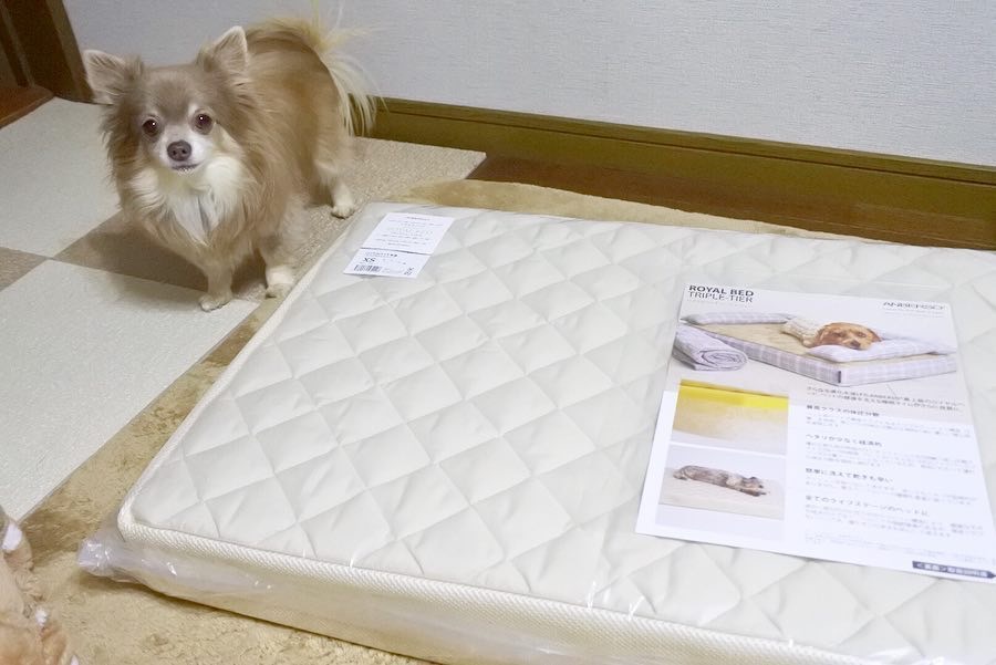犬のベッド｜アンベルソ公式ブログ