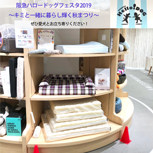 阪急ハロードッグフェスタ2019 ～キミと一緒に暮らし輝く秋まつり～にアンベルソも参加いたします！