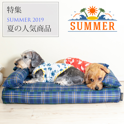 特集：夏の人気商品