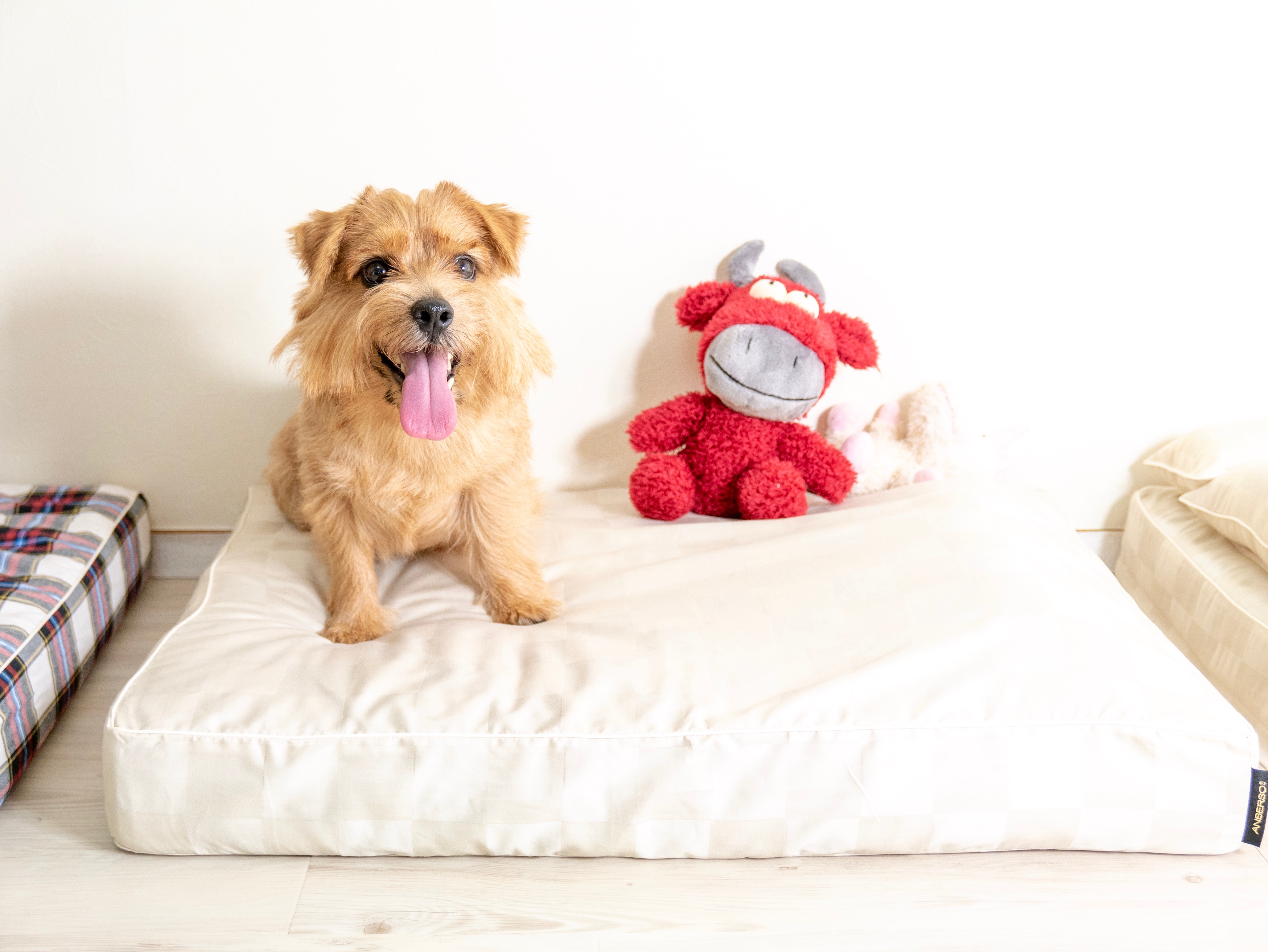 ベッドカバー「バークリー」　犬の洗える日本製ベッド：ロイヤルベッド - アンベルソ