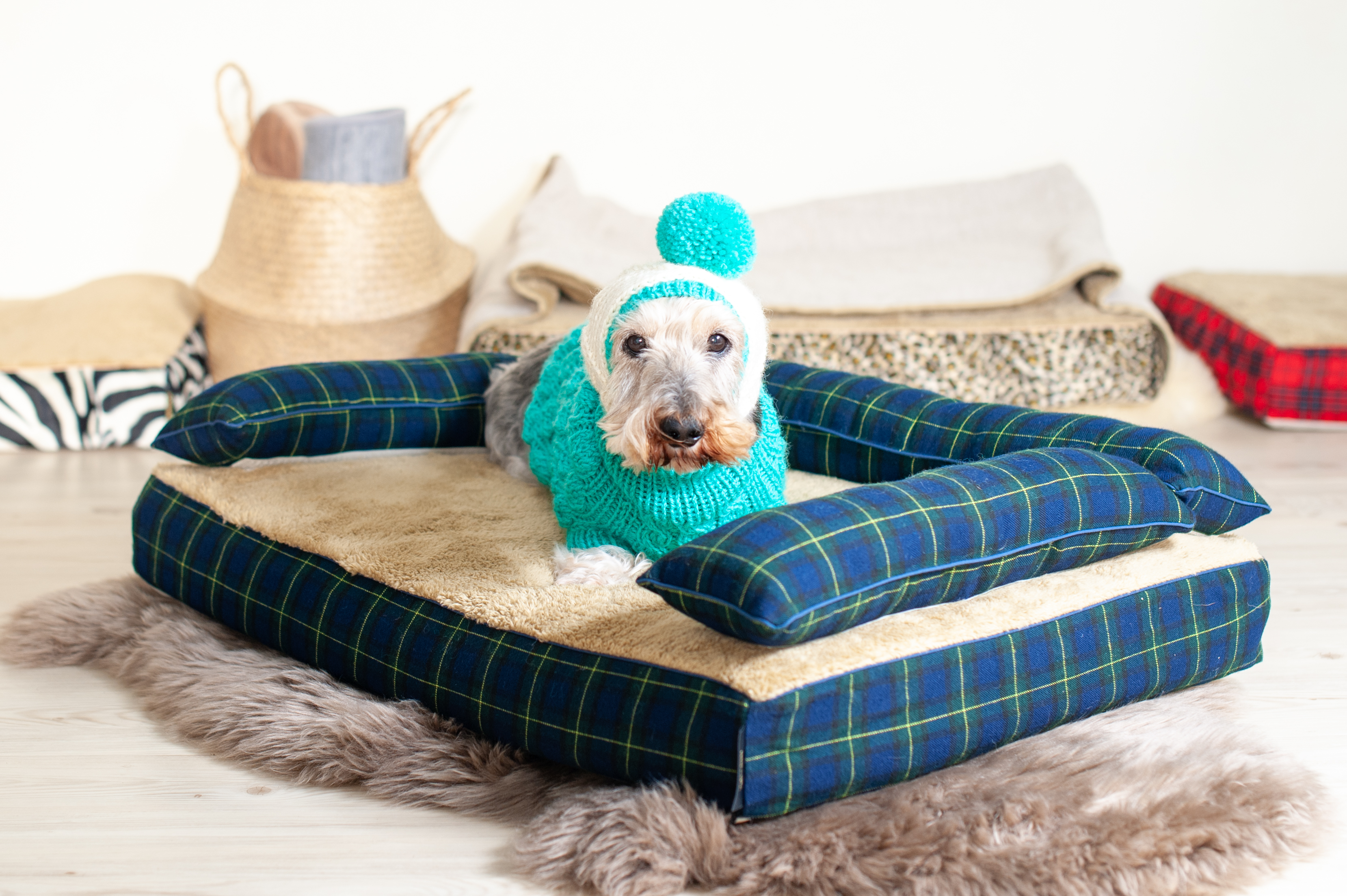 ベッドカバー「オーブリー」　犬の洗える日本製ベッド：ロイヤルベッド - アンベルソ