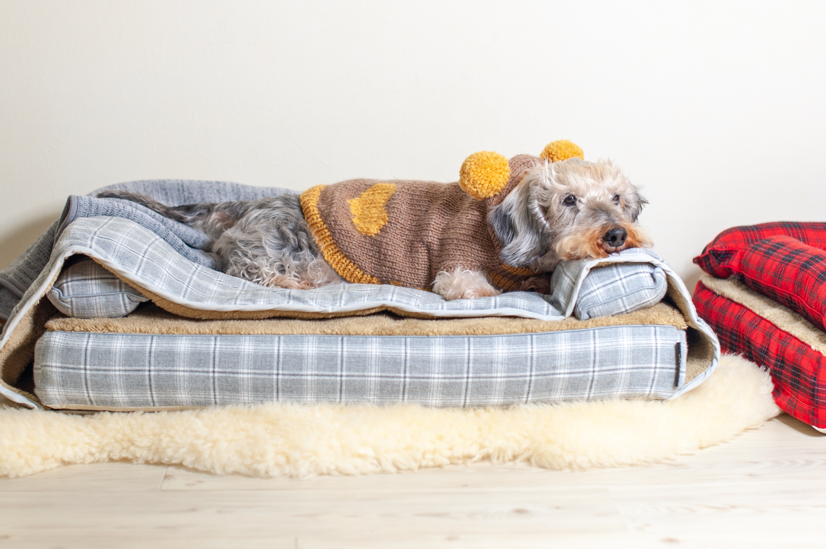ベッドカバー＆モグラー「サイラス」、　犬の洗える日本製ベッド：ロイヤルベッド - アンベルソ