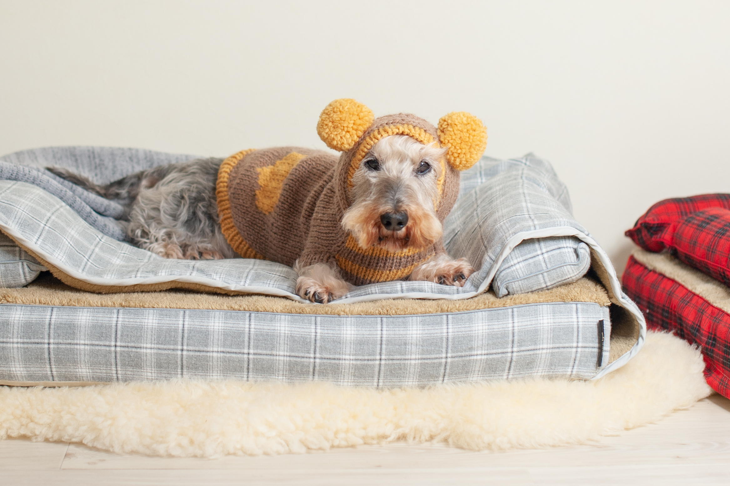 ベッドカバー＆モグラー「サイラス」、　犬の洗える日本製ベッド：ロイヤルベッド - アンベルソ