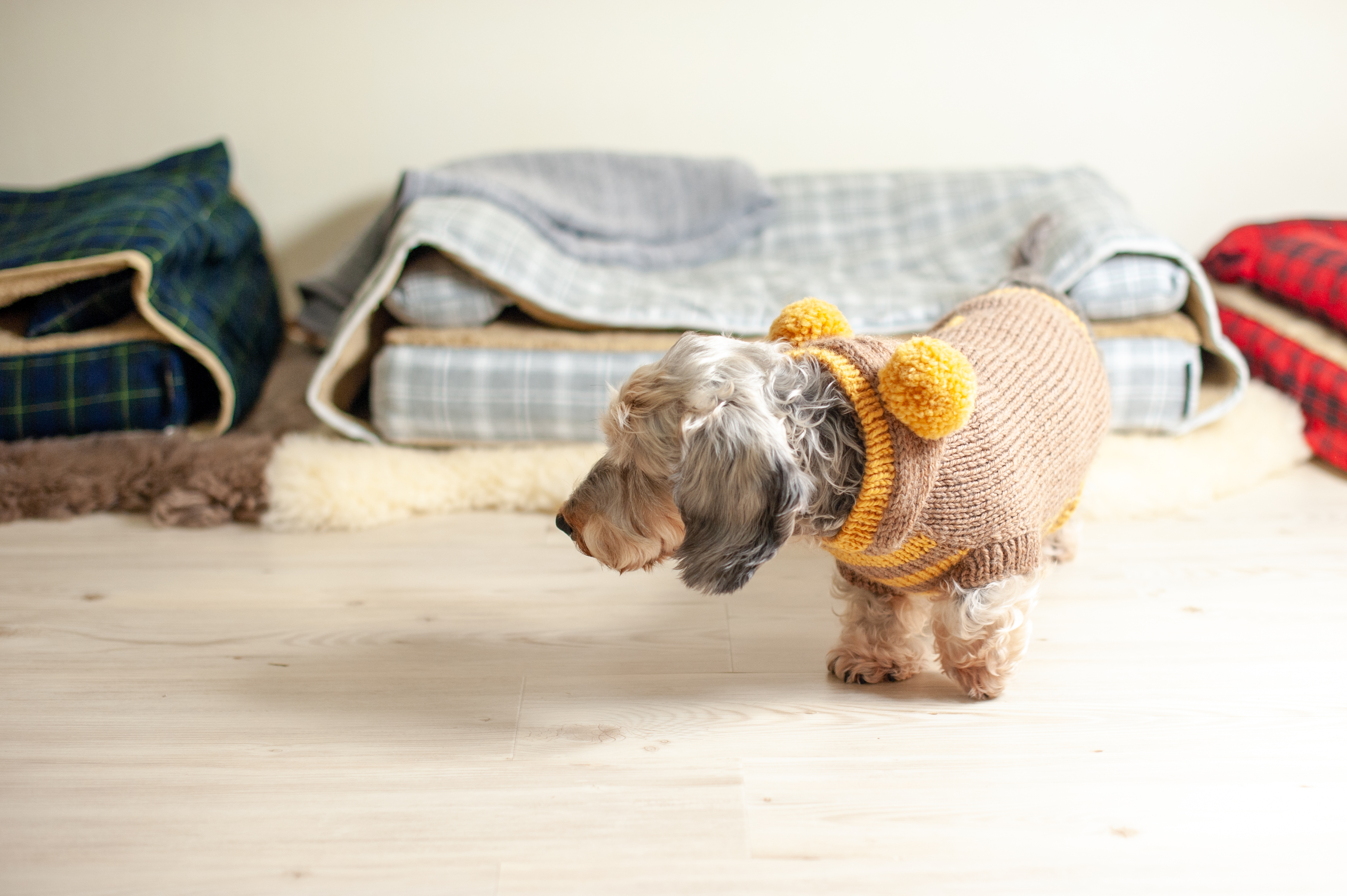 ベッドカバー＆モグラー「サイラス」、　犬の洗える日本製ベッド：ロイヤルベッド - アンベルソ