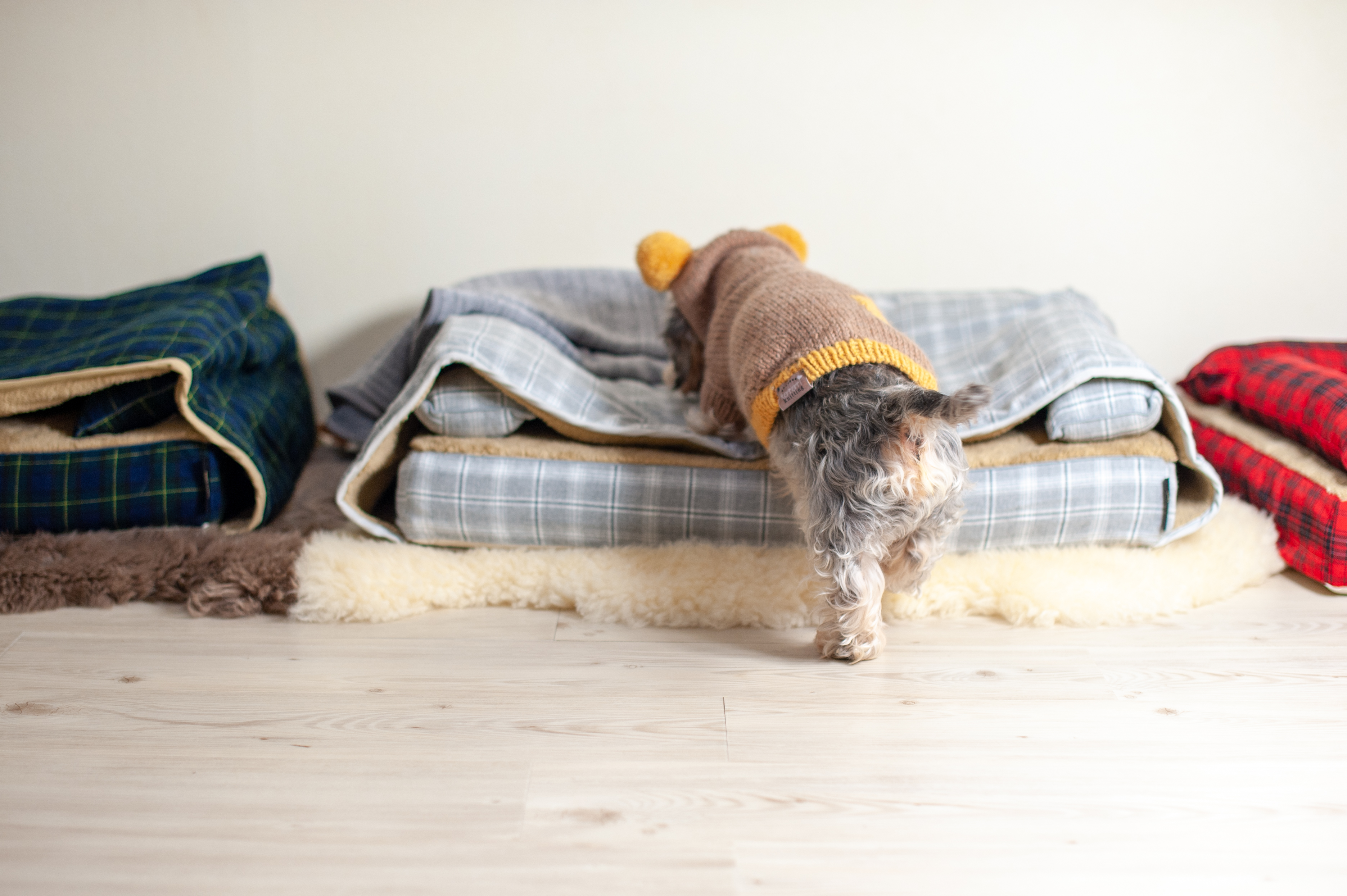 ベッドカバー＆モグラー「サイラス」、　犬の洗える日本製ベッド：ロイヤルベッド - アンベルソ