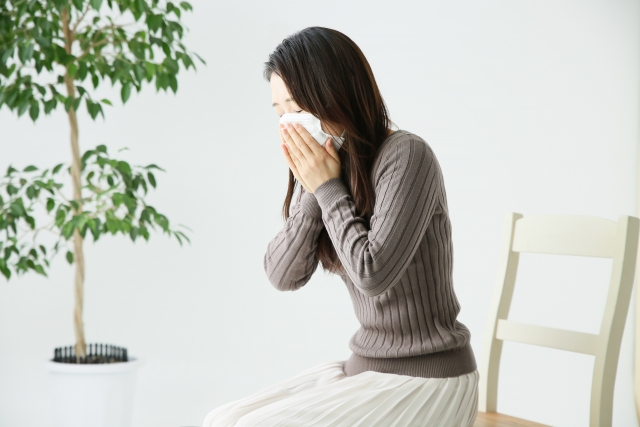 ホコリが出にくい、 ダニが繁殖しにくい