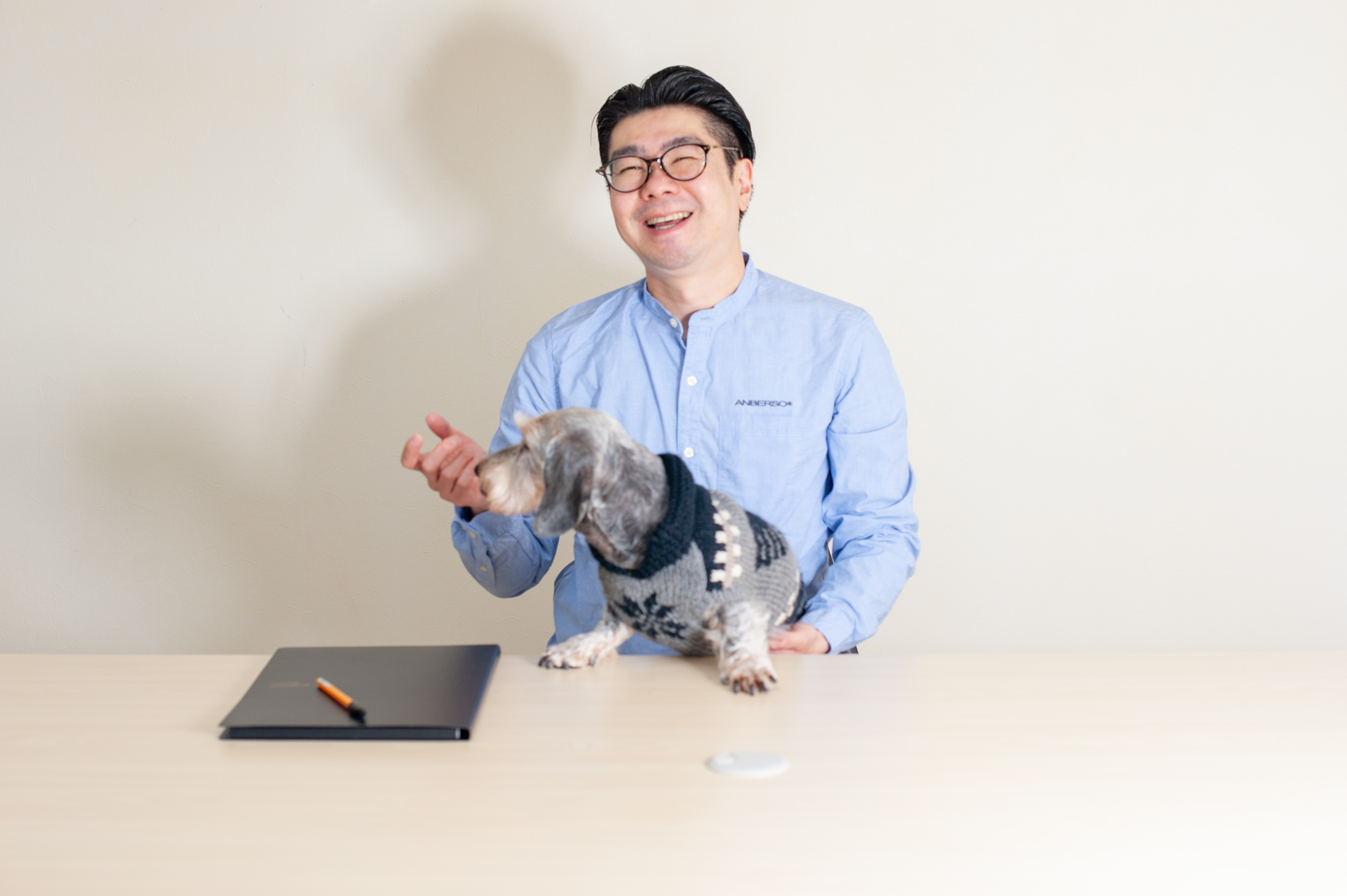 犬の洗える日本製ベッド：ロイヤルベッド - アンベルソ