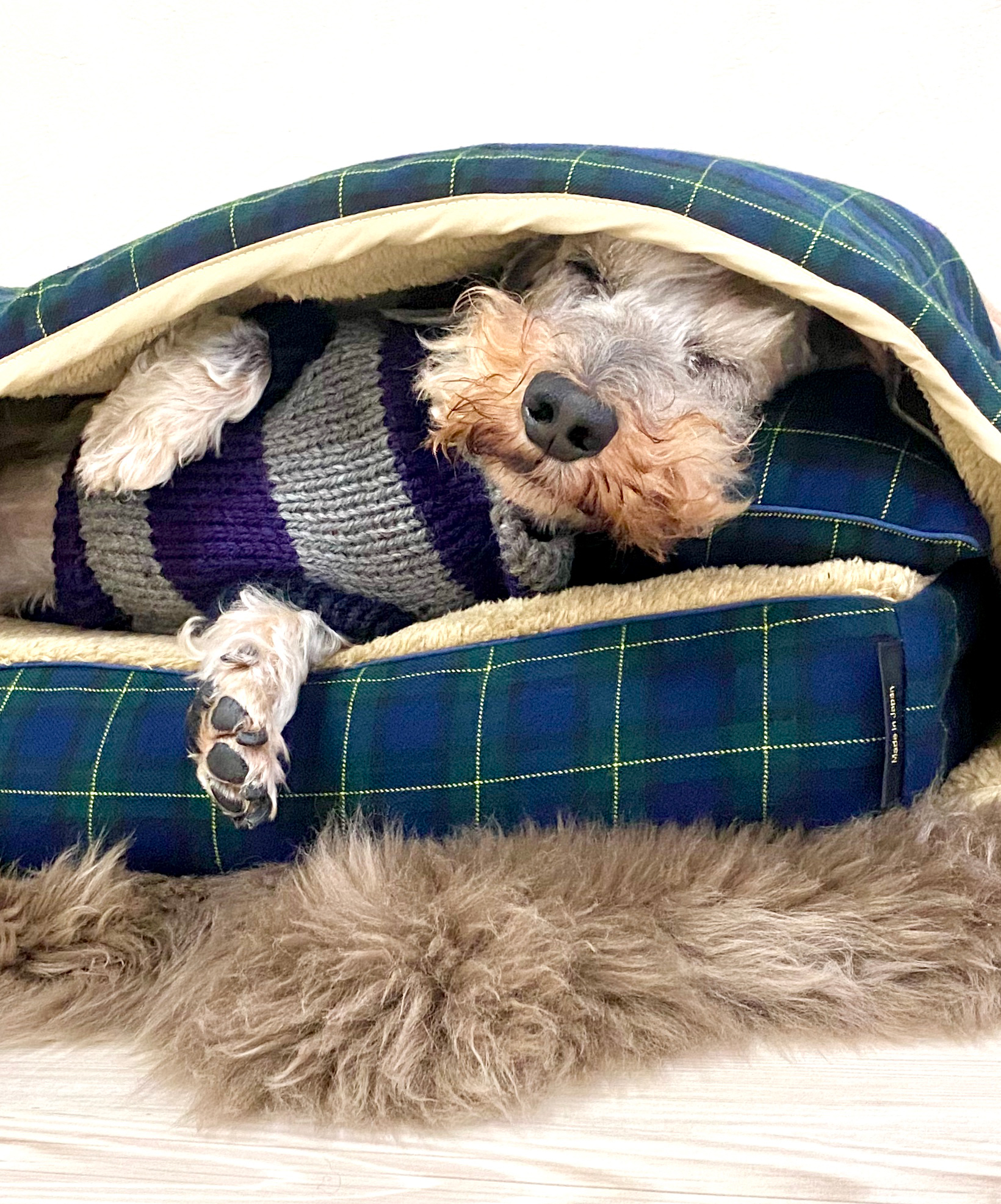 モグラーの中でおやつの時間までお昼寝