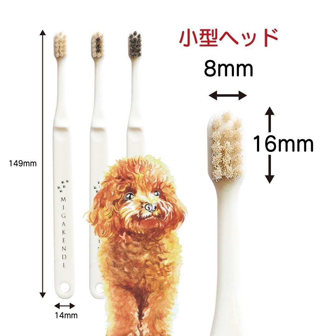 ミガケンデ：獣医師と共同開発された天然毛使用の高品質な歯ブラシが3つの硬さで新登場！