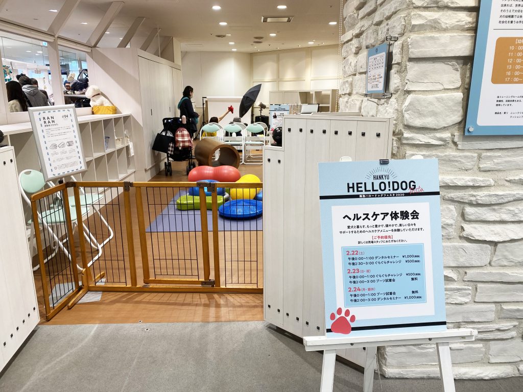 阪急ハロードッグフェスタ2020｜犬のベッド：アンベルソ
