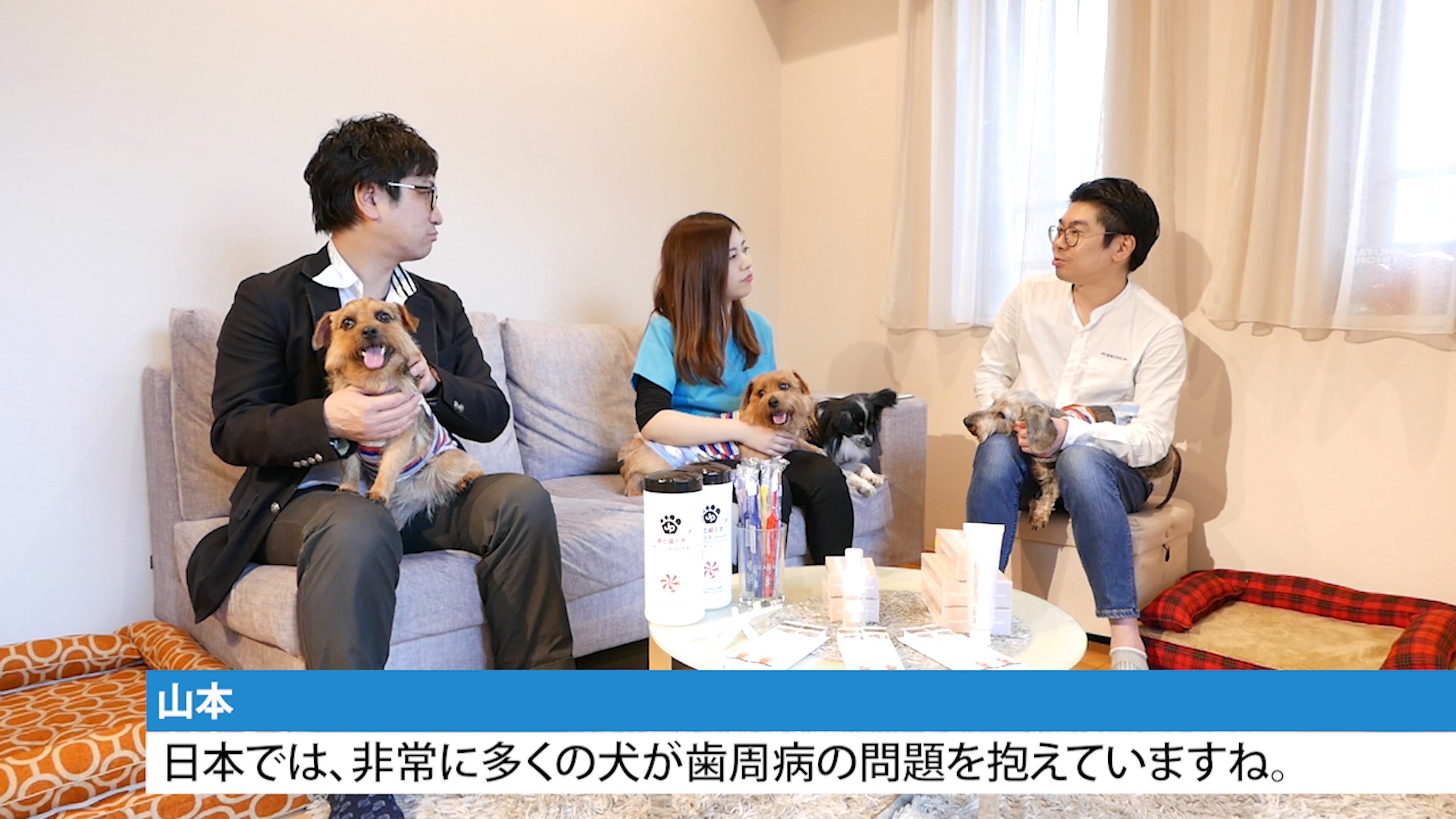 ゲスト対談：犬の口腔ケア｜犬のベッド：アンベルソ