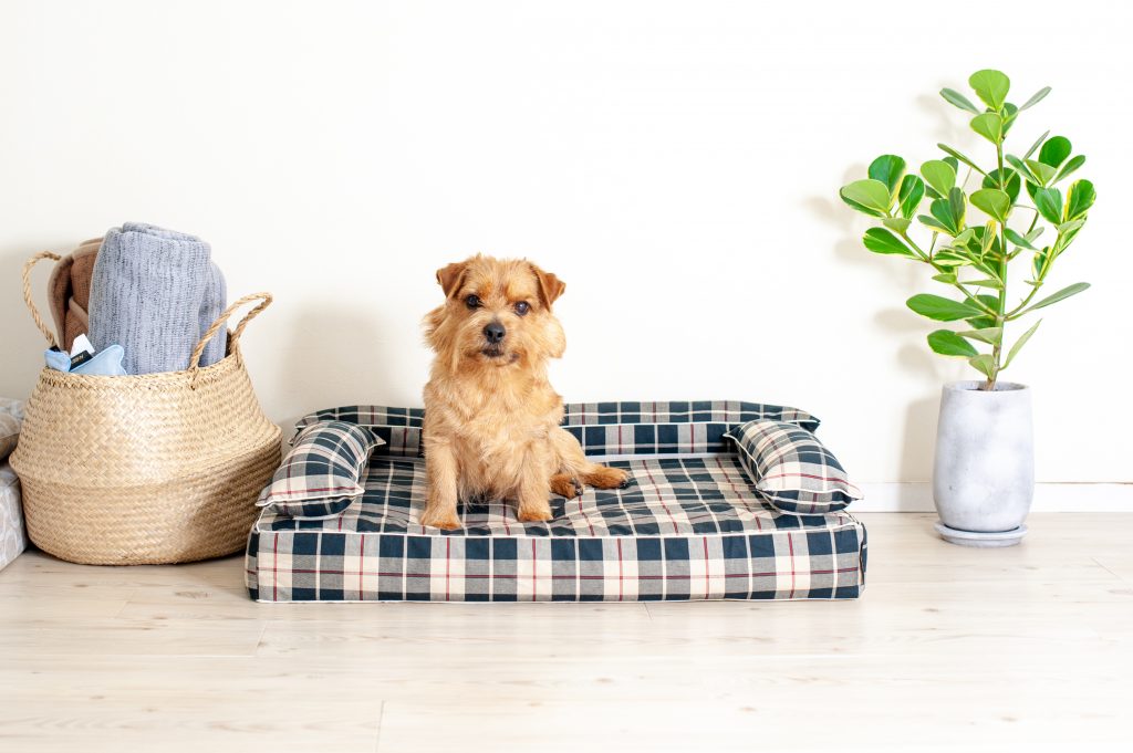 ベッドカバー：エトレ｜犬のベッド：アンベルソ