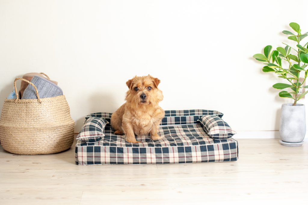 クッション付きベッドカバー：エトレ｜犬のベッド：アンベルソ