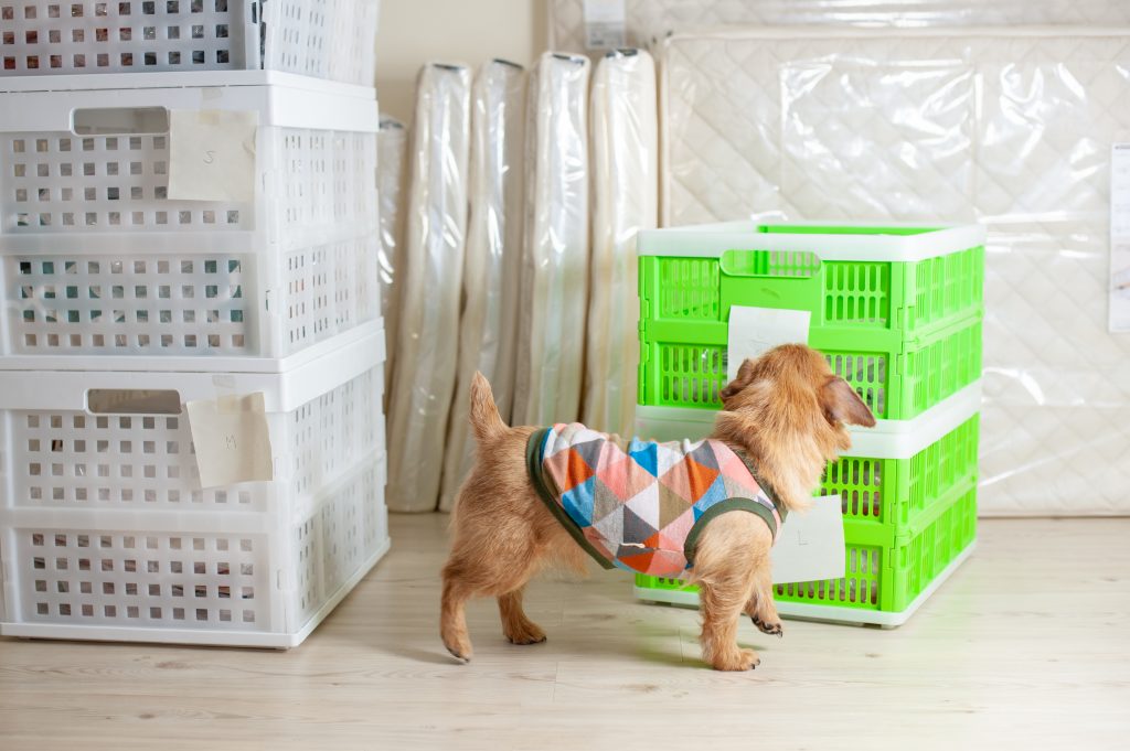 犬のベッド：アンベルソ