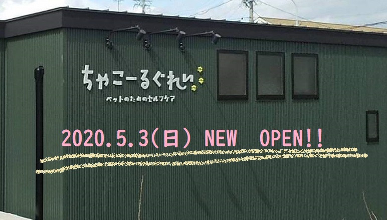 取扱店舗「ちゃこーるぐれい」愛知県｜犬のベッド：アンベルソ