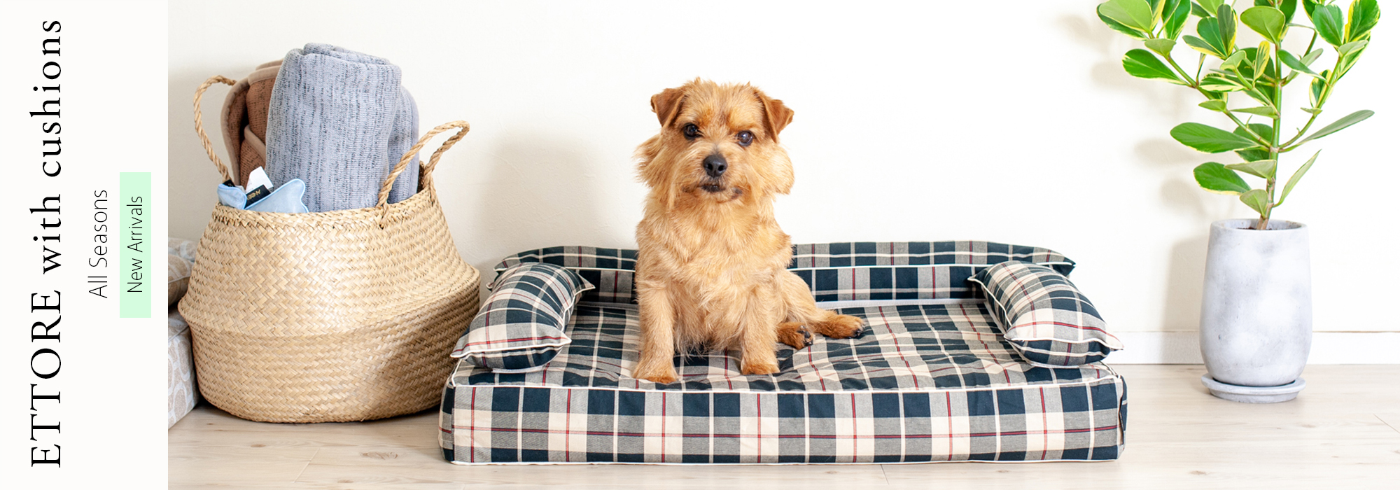 新商品：クッション付きベッドカバー：エトレ｜犬のベッド：アンベルソ