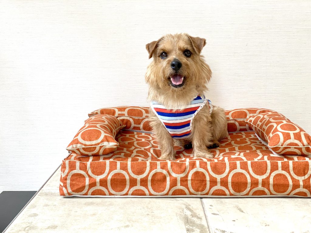 クッション付きベッドカバー：エルモ（ブリック）｜犬のベッド：アンベルソ