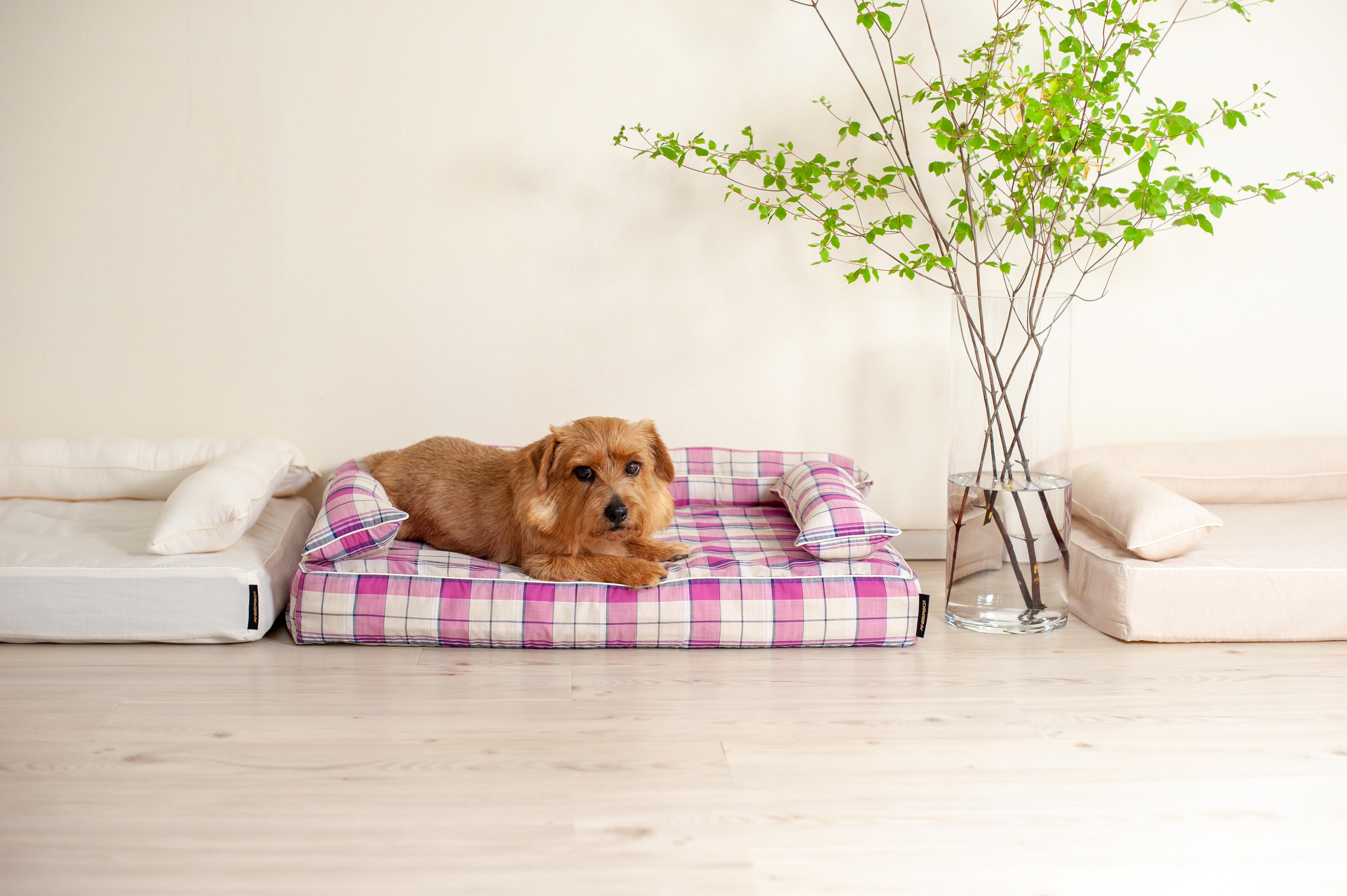 クッション付きベッドカバー：リン｜犬のベッド：アンベルソ