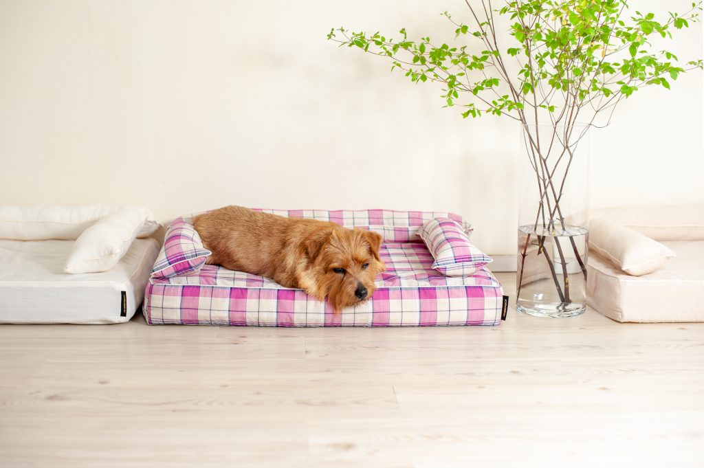 クッション付きベッドカバー：リン｜犬のベッド：アンベルソ