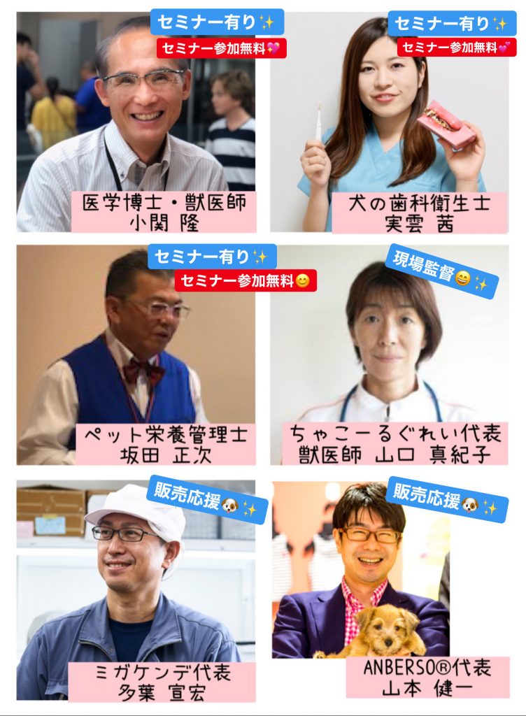 イベントのご案内（セミナーあり）｜犬のベッド：アンベルソ