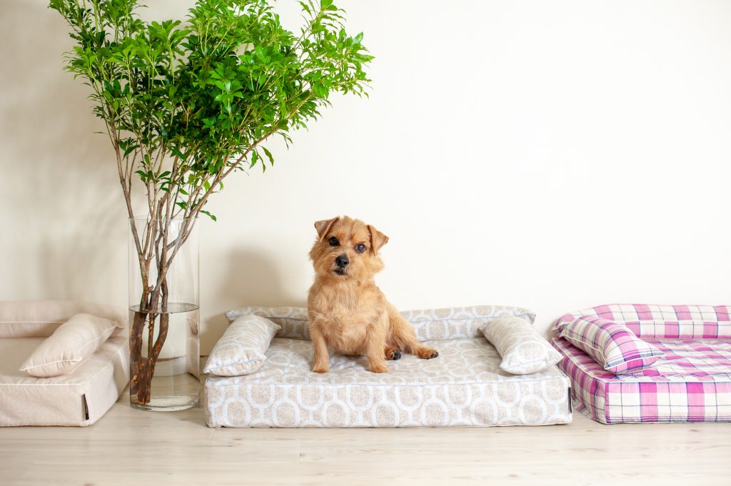 クッション付きベッドカバー：エトレ｜犬のベッド：アンベルソ