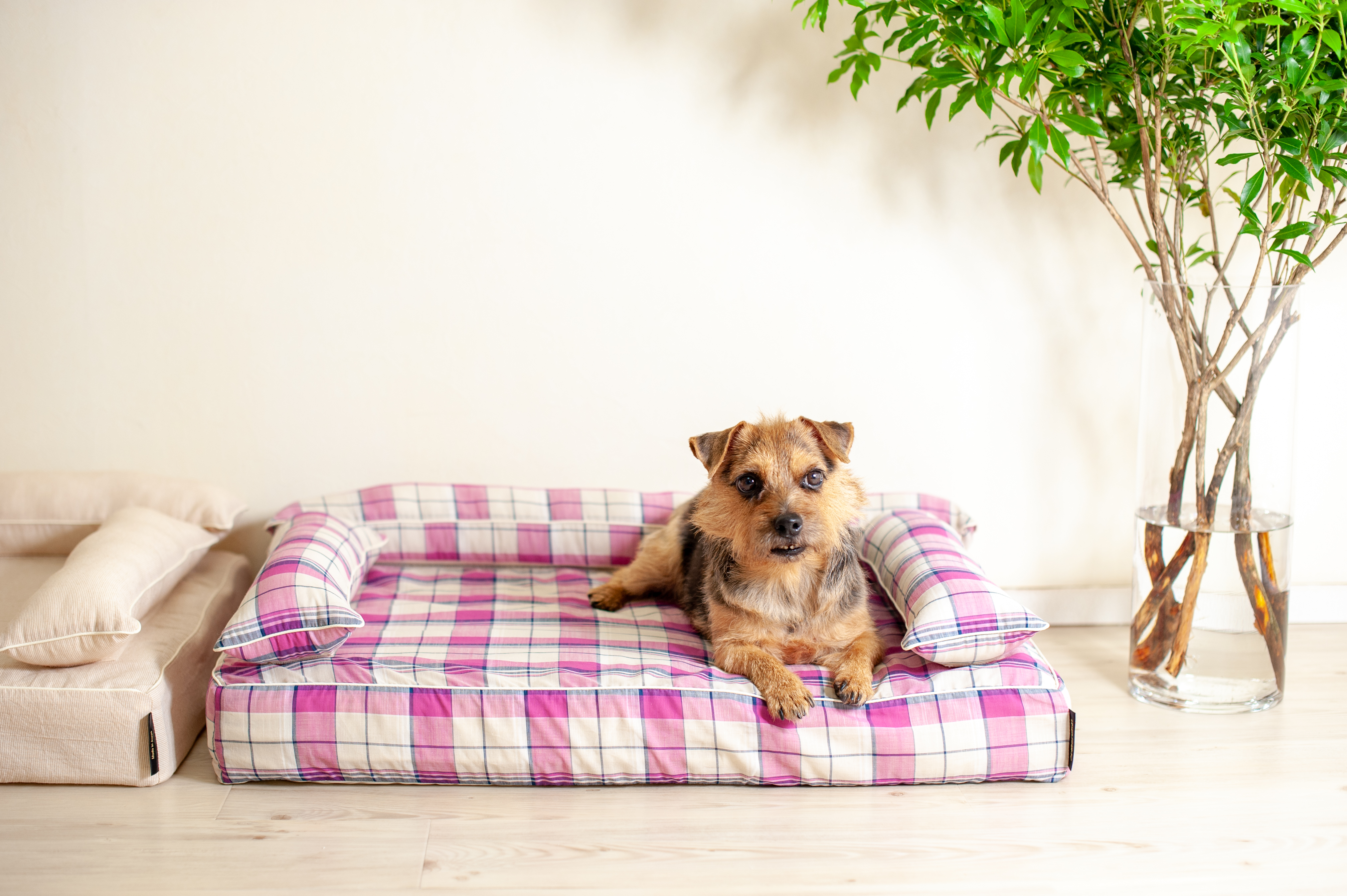 クッション付きベッドカバー：リン｜犬のベッド：アンベルソ