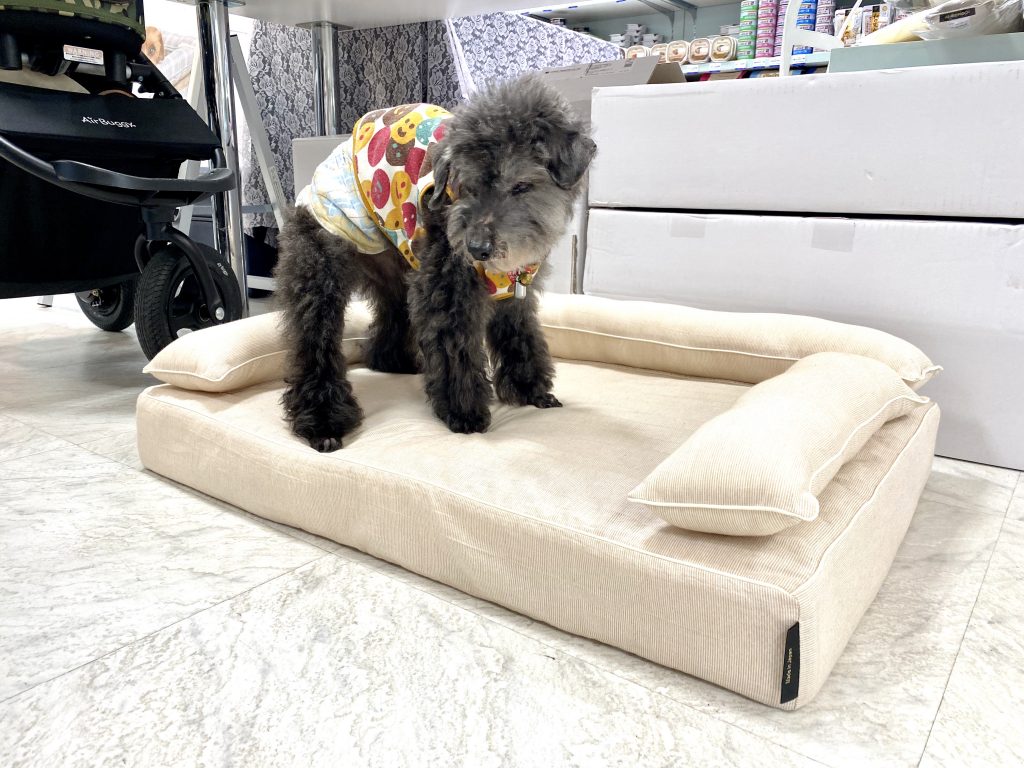 ロイヤルベッドお試し会 at 日本橋三越本店ジョーカー9月のイベント｜犬のベッド：アンベルソ