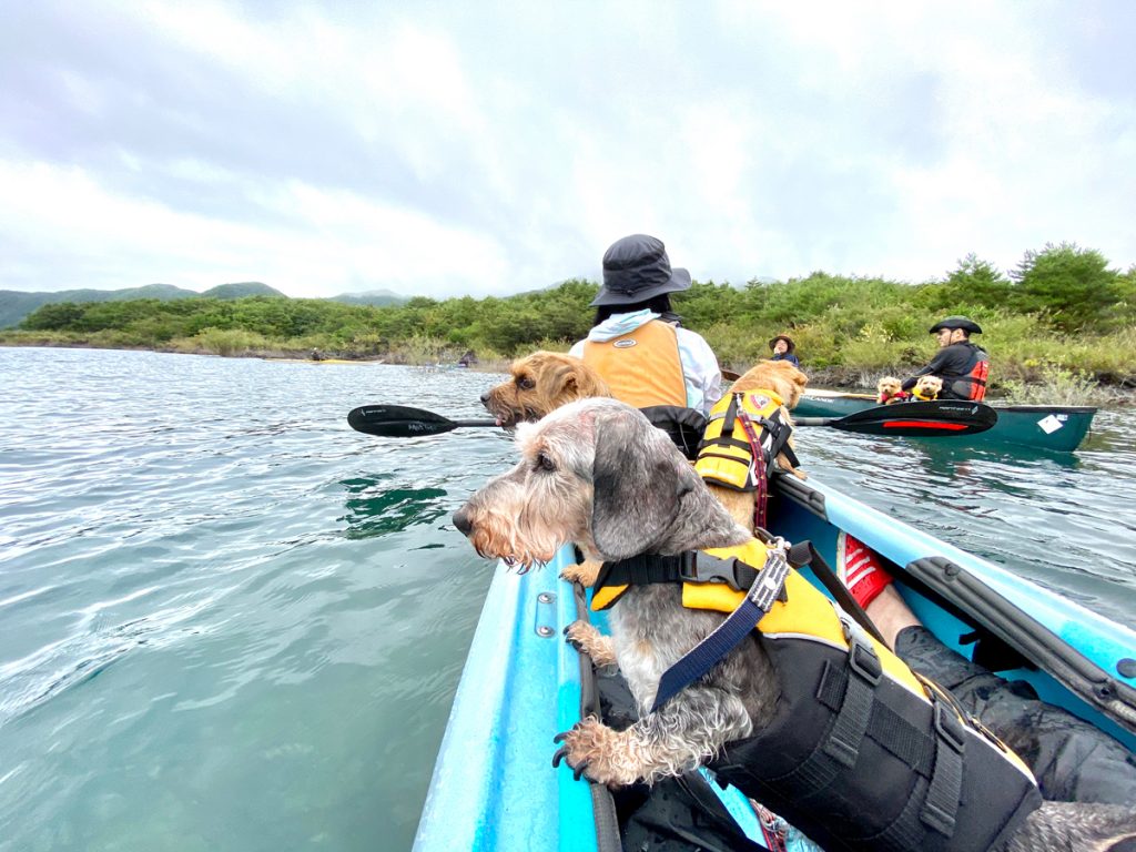 犬とカヤック at 本栖湖｜犬のベッド：アンベルソ