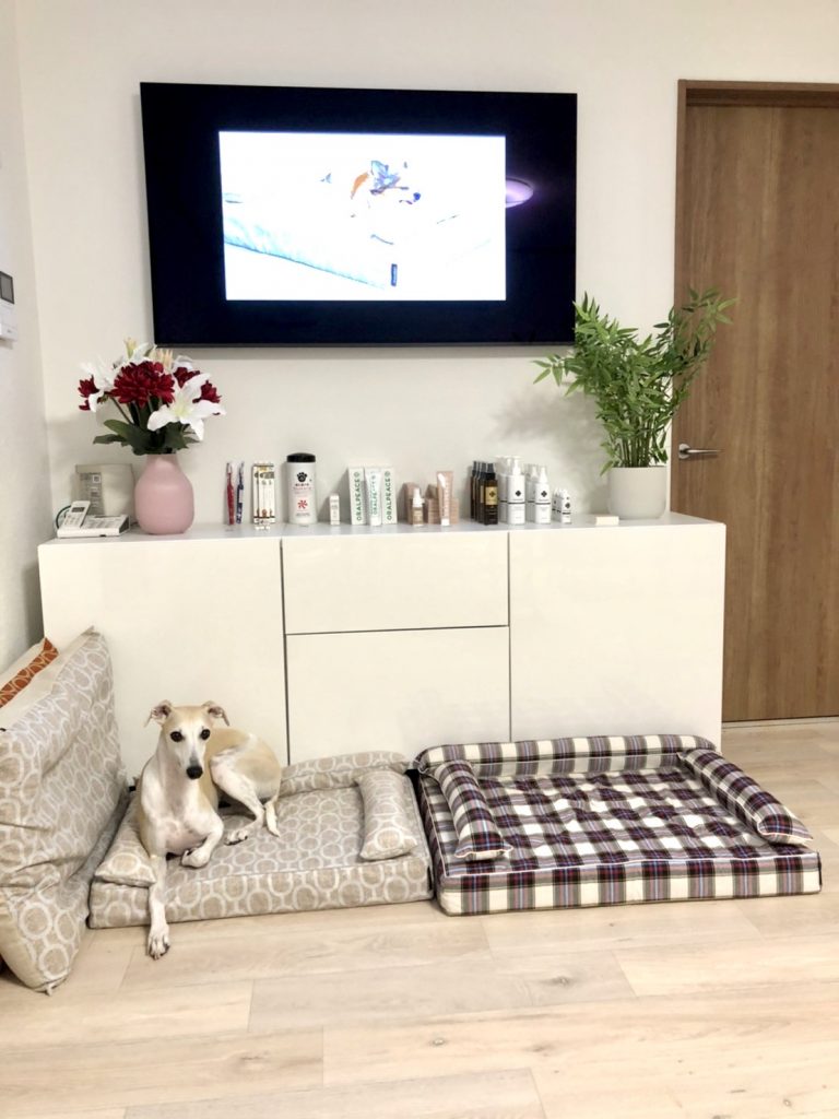 ANBERSO® STORE（アンベルソ・ストア）｜犬のベッド：アンベルソ