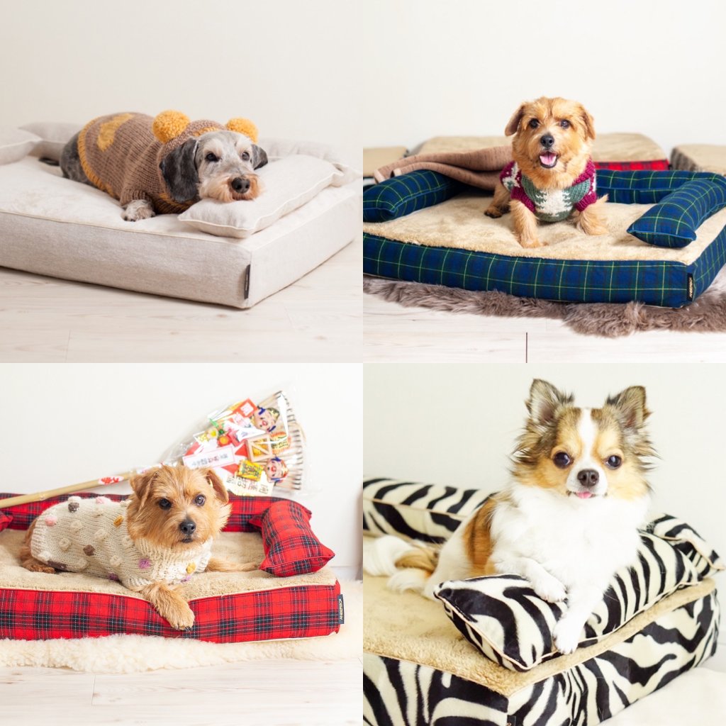 冬の定番商品｜犬のベッド：アンベルソ