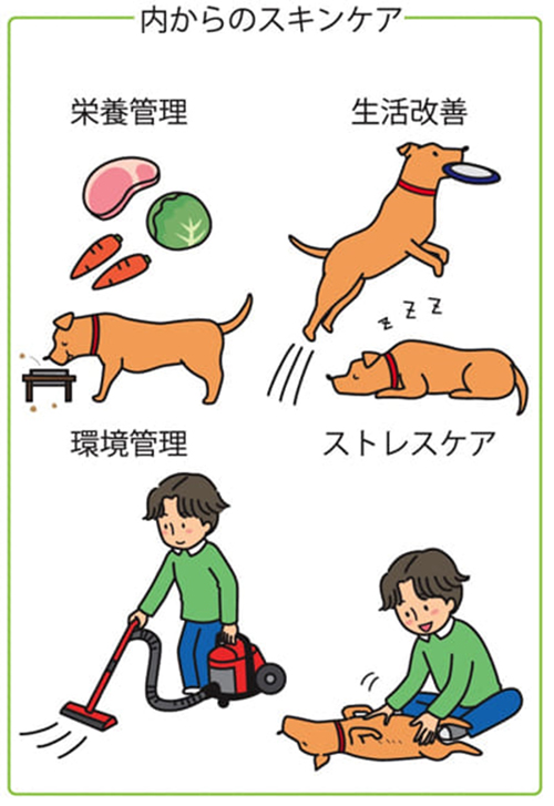 獣医師がオススメするスキンケアの4つのポイント｜犬のベッド：アンベルソ