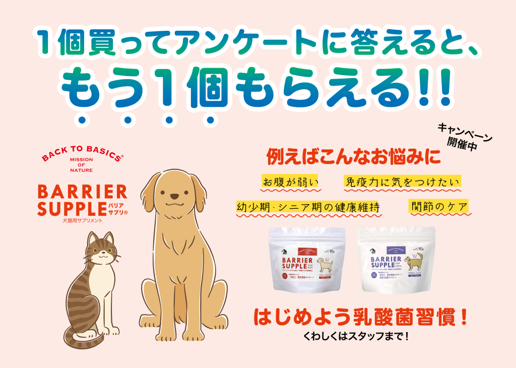 キャンペーン：乳酸菌サプリ　バリアサプリ｜犬のベッド：アンベルソ